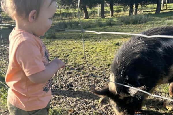 country_wonders_early_learning_centre_childcare_04_1023_square_crop_7